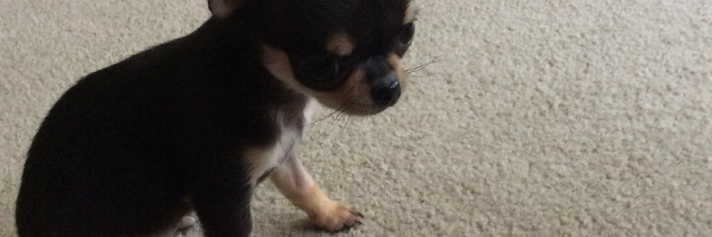 Chidbra's profile banner image