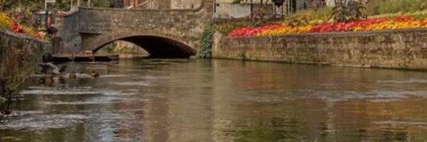 CAMEMS_ Profile Banner