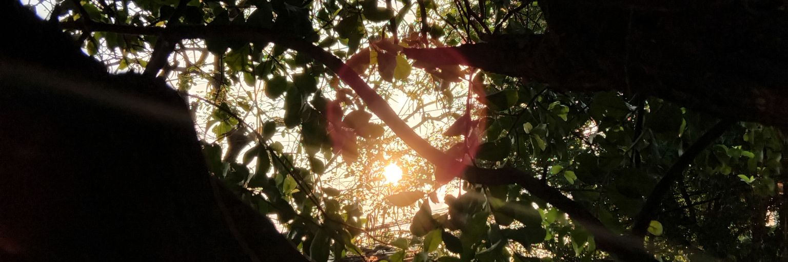 Tukaia dos Espíritos 🪇 ⚢ banner