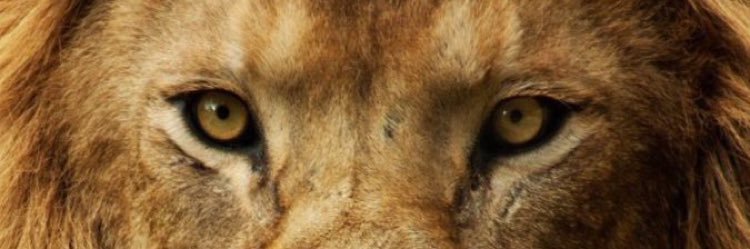 alp35ay's profile banner image