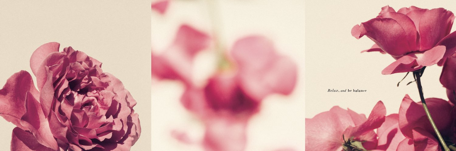 harayuki0921's profile banner image