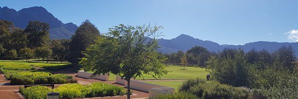 الطيب الطيب banner