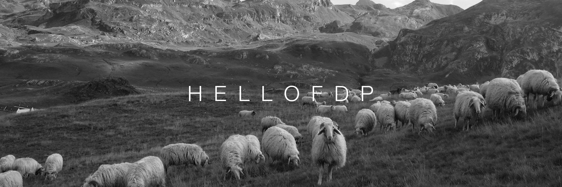 hellofdp banner