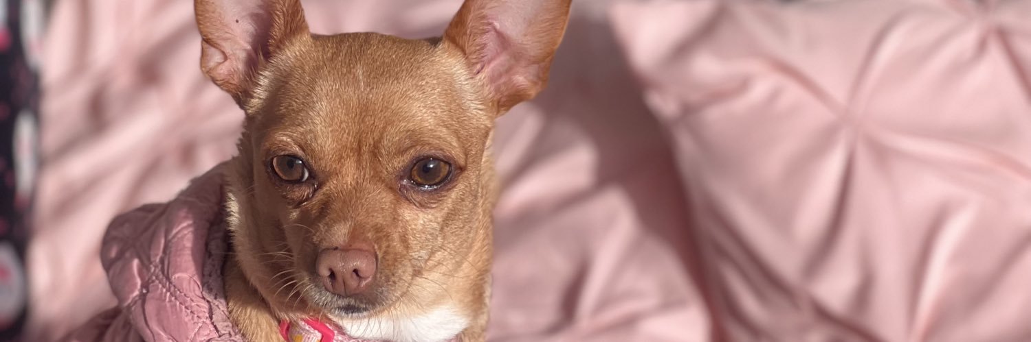 fernandabdrt's profile banner image