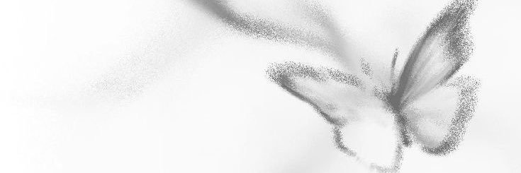 ‎ ‎ ❤︎₊ ⊹ banner