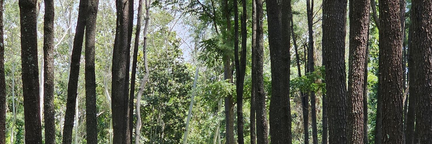 cassymim's profile banner image