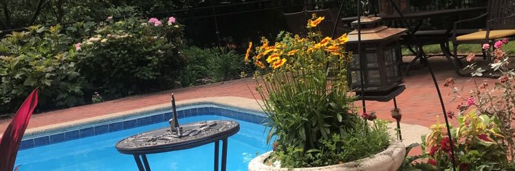 CarolineM1148's profile banner image