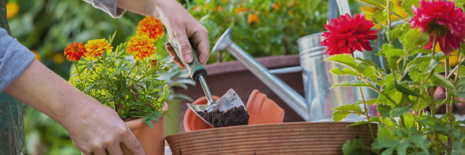 Scotsdales Garden Centre banner