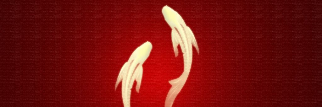ayumnam35's profile banner image