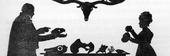 Stefano Dominici banner