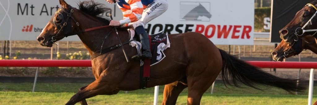 ASewell95's profile banner image