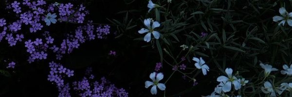 kemo4awn Profile Banner