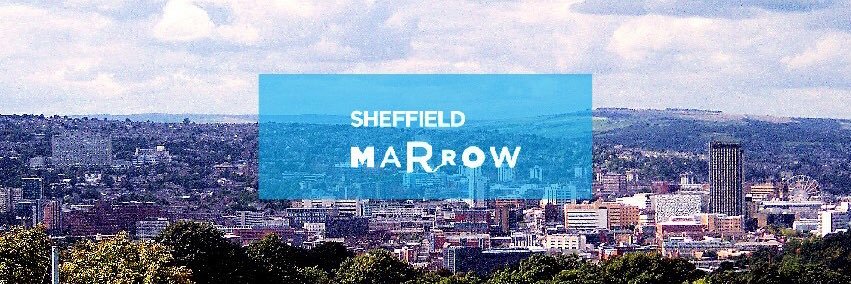 sheffieldmarrow's profile banner image
