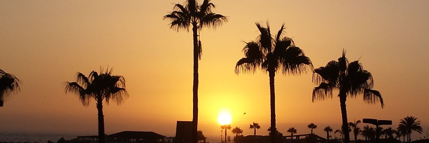 Leanne Spinks banner