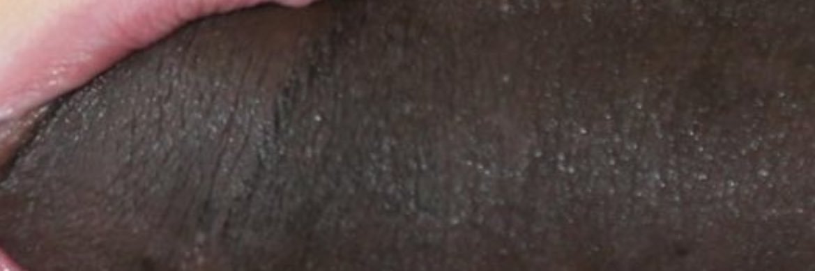 taxa80905's profile banner image