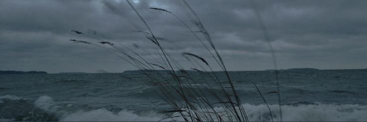 beth*'s banner