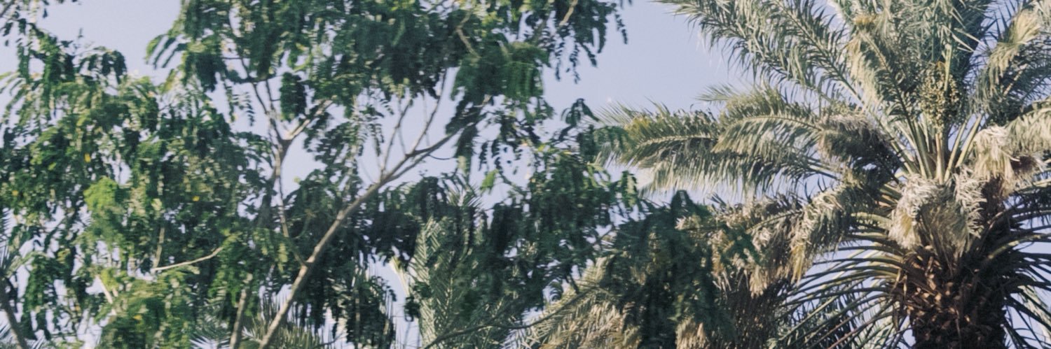 iitsR06's profile banner image