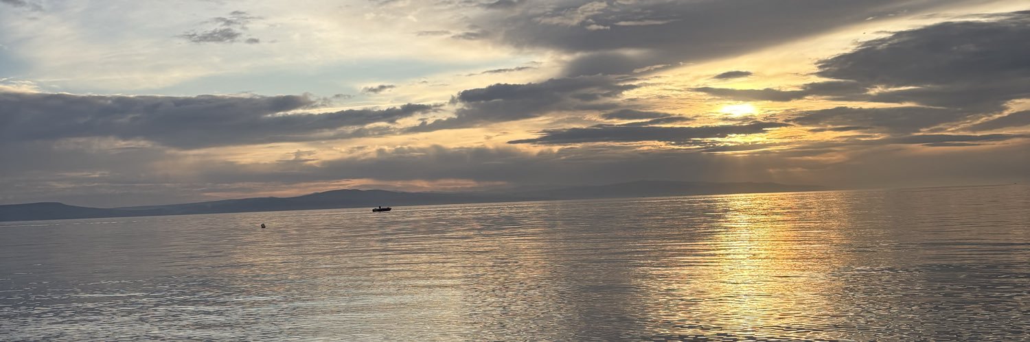 Sıla Döğüş banner