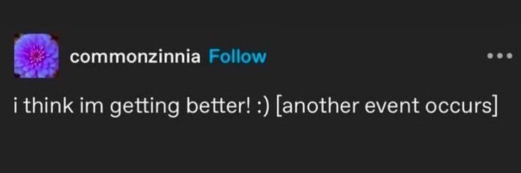-ˏˋ⋆ lin ⋆ˊˎ- is ia's banner