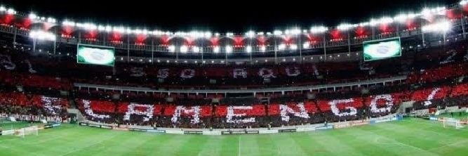 R.O.D.R.I.G.O 021 ⚫🔴🟨🟩 banner