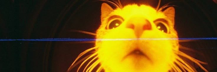 itsinciturker's profile banner image