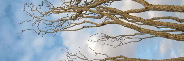 bioboatr Profile Banner