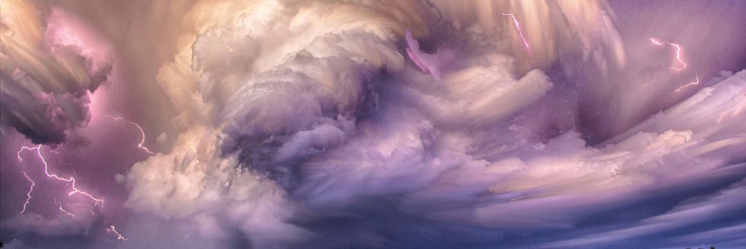 Not That Covfefe banner