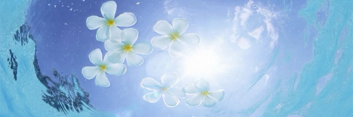 starkoobi⁷'s banner
