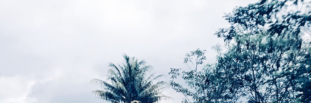 camagsus's profile banner image