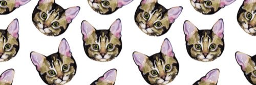 RachelCash_x's profile banner image