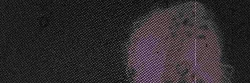 Solvek ૮₍ ´ ꒳ `₎ა banner