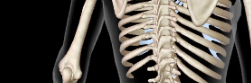 154 banner