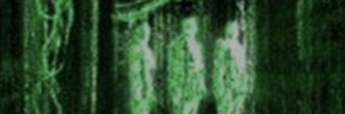 eddy7456's profile banner image