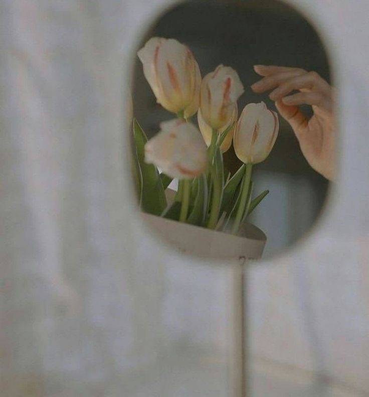 تــرانه طلــــــوع banner