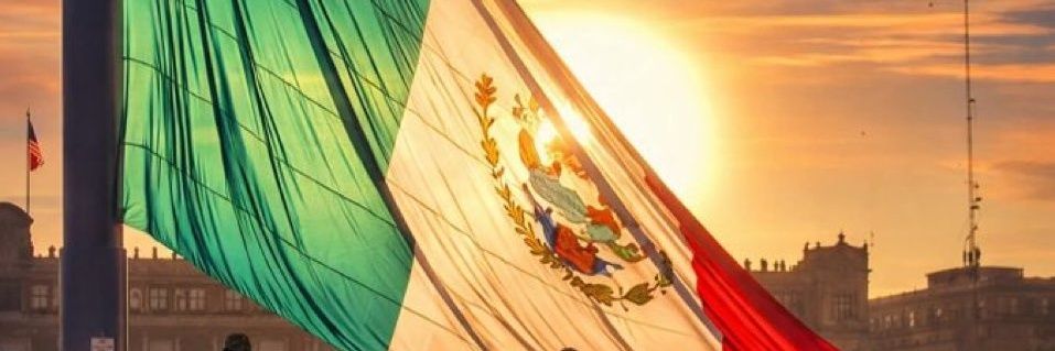 Neko52 banner