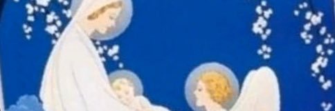 noella33's profile banner image