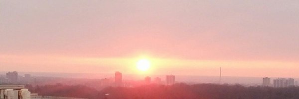 efficienteich Profile Banner