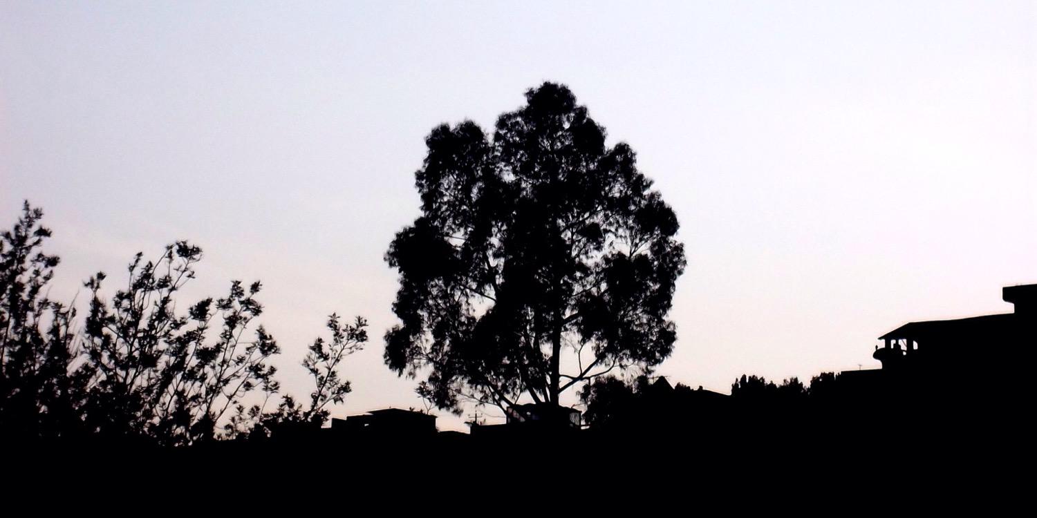 SofiMont's profile banner image