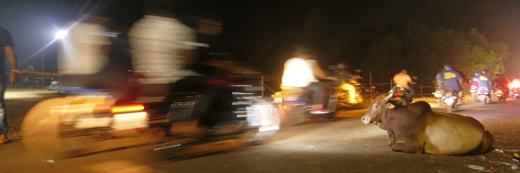 Andrew Johnson banner