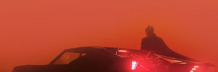 🦇's banner