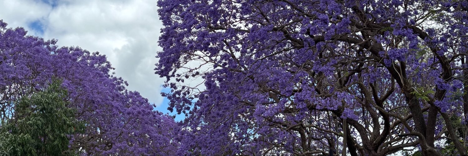 findfaraj's profile banner image