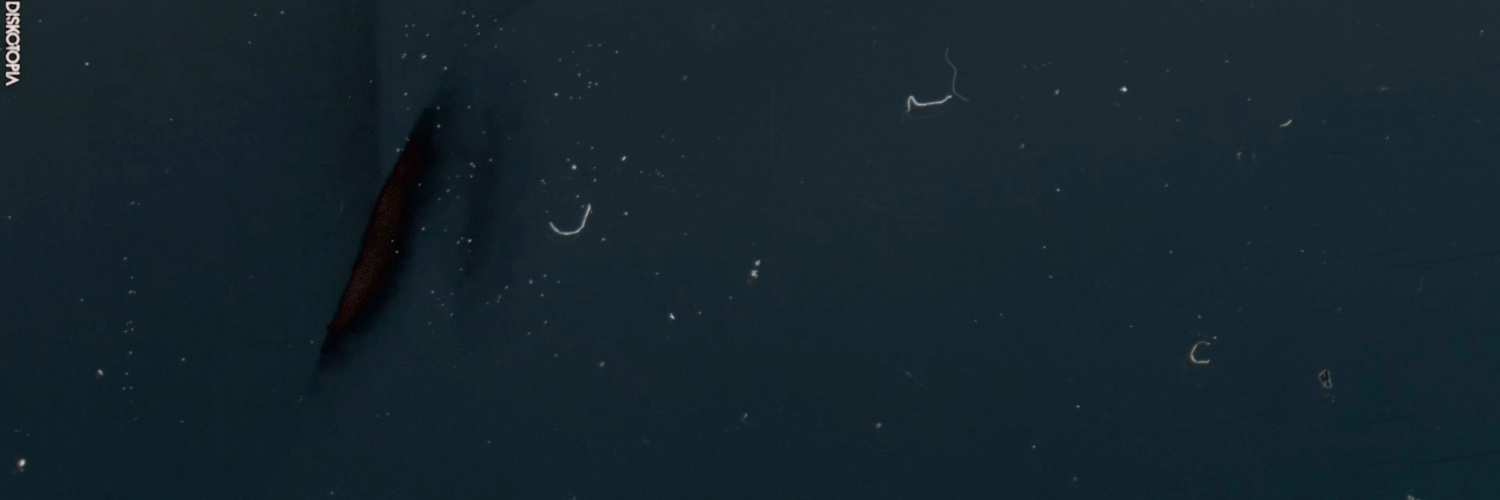 ＢＤ１９８２ banner