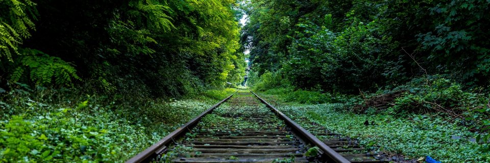 tarzior's profile banner image