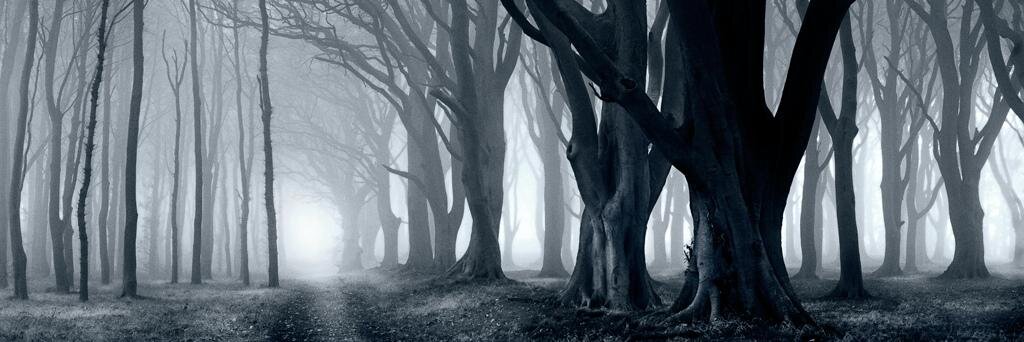 franner11's profile banner image
