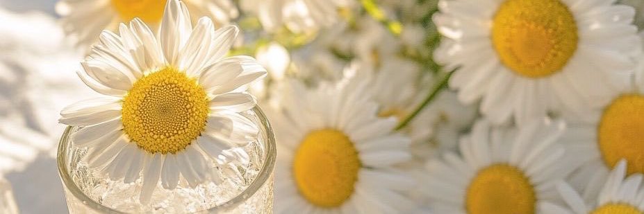 𝑠𝑖𝑖 ⏦ﾟ♡︎ banner