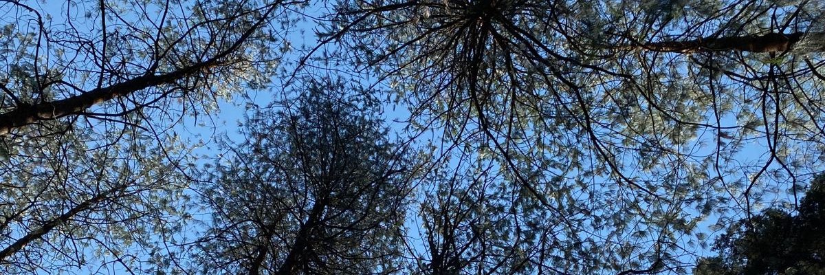 gabsanbum's profile banner image