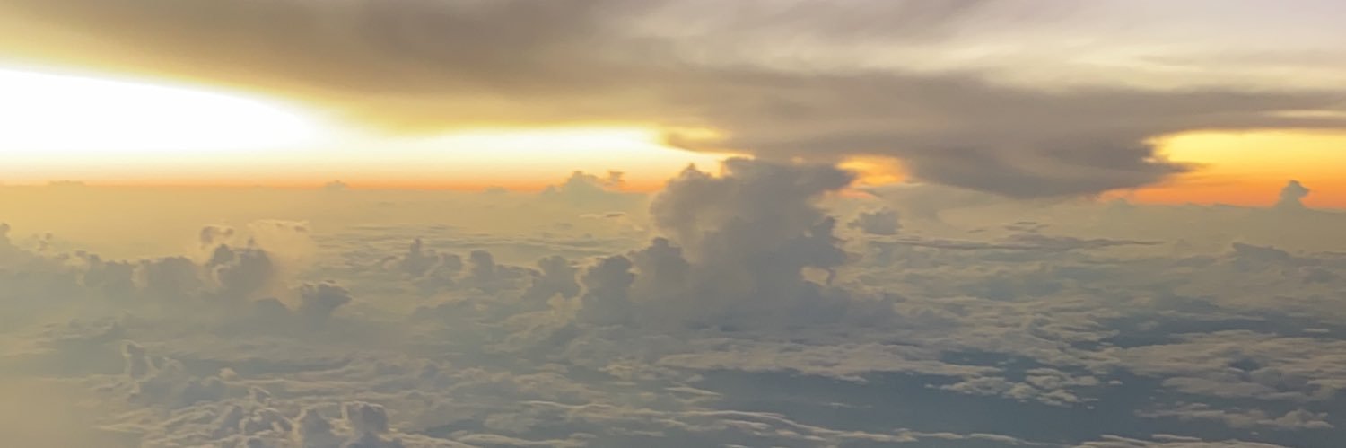 modianomitrani's profile banner image