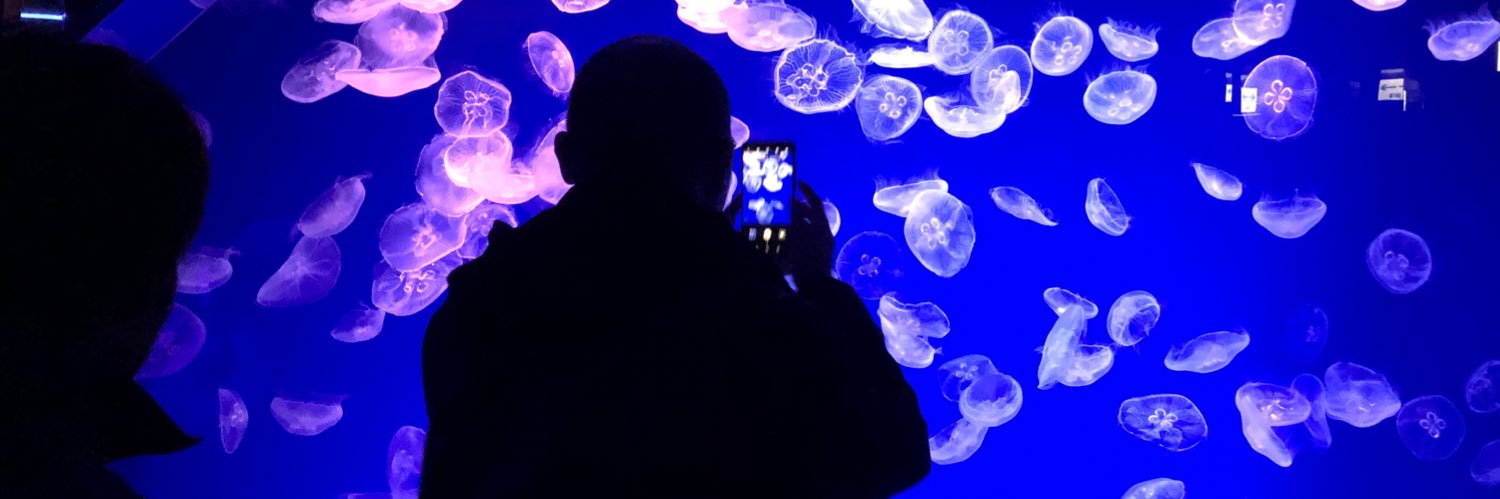 mardkvmos's profile banner image