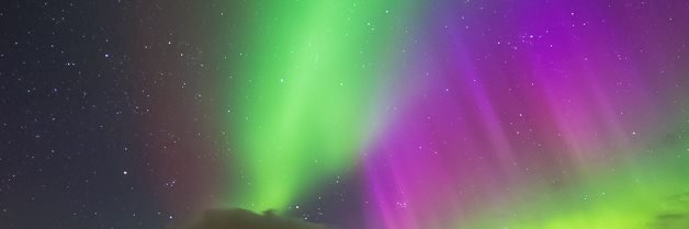 Meryl Mullane banner