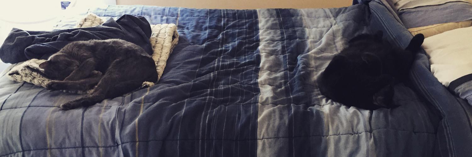 AlexandraaaLee's profile banner image